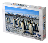 Rompecabezas Tomax Puzzle 500 Piezas 2151