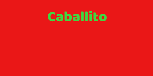 Sucursal caballito