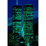 Rompecabezas Jigsaw Puzzle 1000 Piezas Glow Tomax 2171