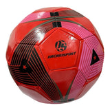 Pelota De Futbol Dream Sport N°5 Cuero Sintetico Pf25